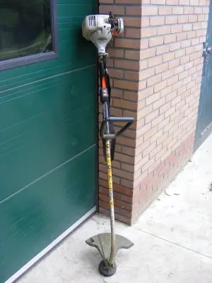 Bosmaaier-2